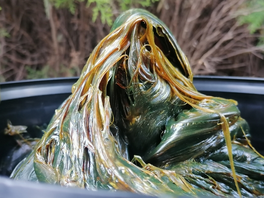 白色 浸透性 リチウム 油脂 11オンス 15KG 防塵 プラスチックのボトル