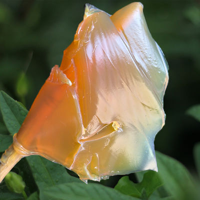 自動車車輪 Mp4 の 無水カルシウム 油脂 潤滑剤