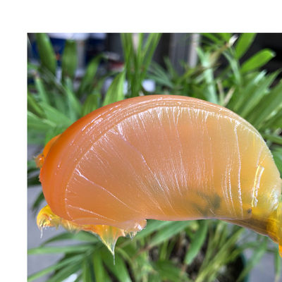 一般成分 工業用化合物カルシウム硫酸油脂