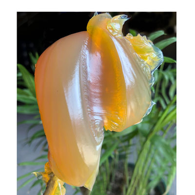 一般成分 工業用化合物カルシウム硫酸油脂