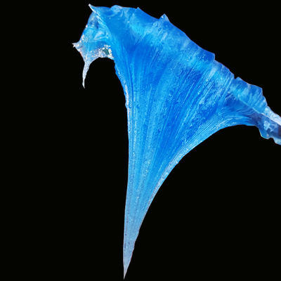 HP-Rハイテンプ 青色 合成油脂 自動車用 10ml ハウシェング 多目的サイレンサー